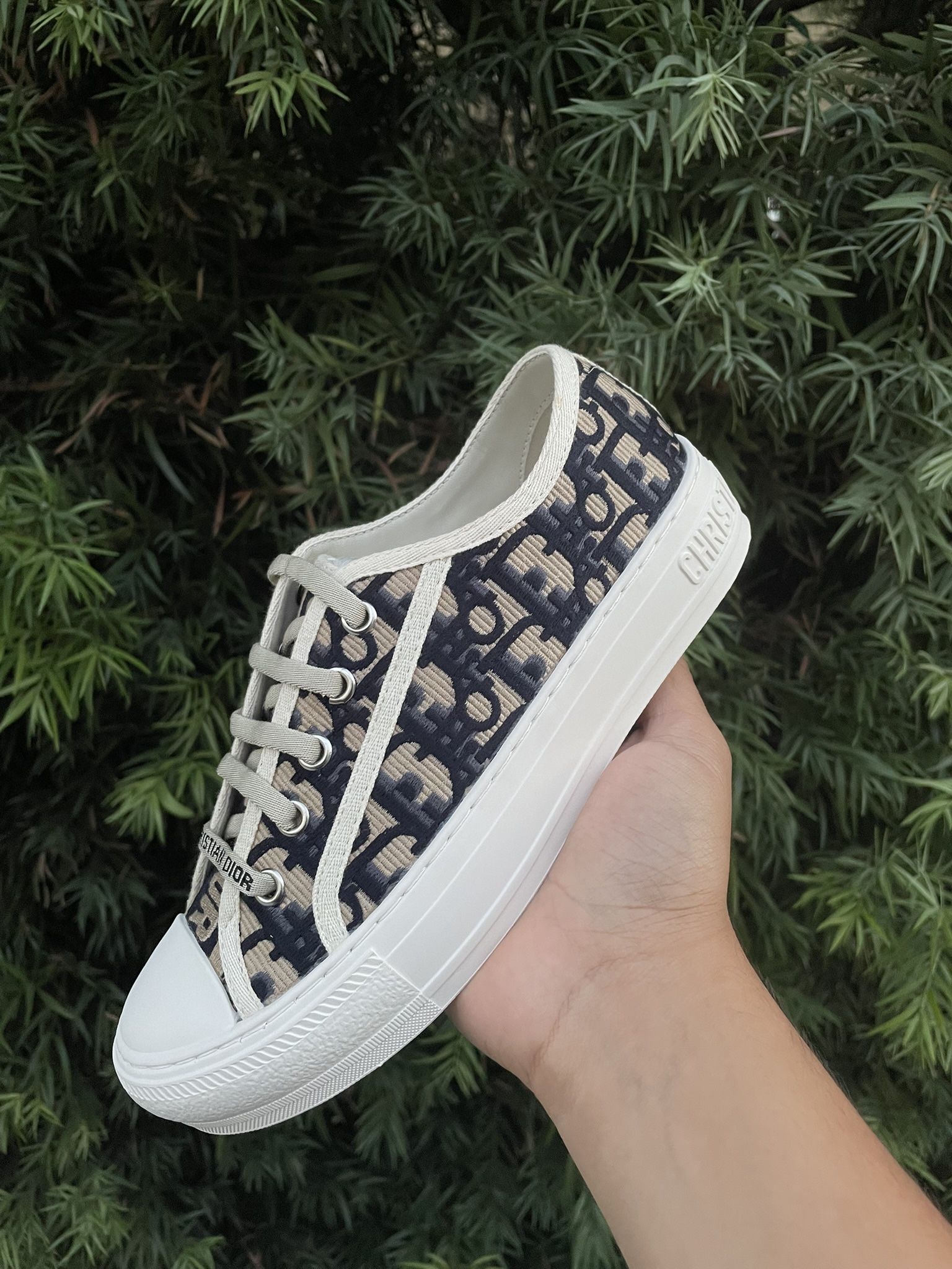 Dior Converse 