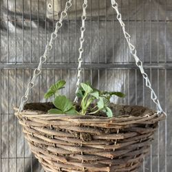 Hanging Strawberry Fruit Plant Pot Planter Planta De Fresas
