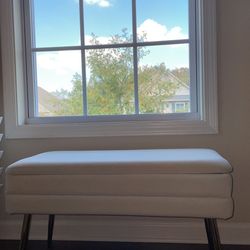 🔥 Bench with Storage  Modern I have 2