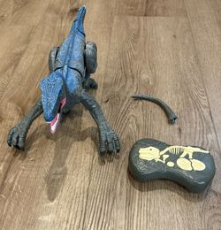 R/C velociraptor