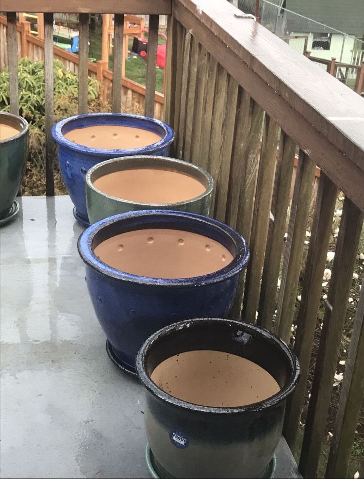 Extra Large Plants Pots New All