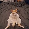 BuySellTrade
