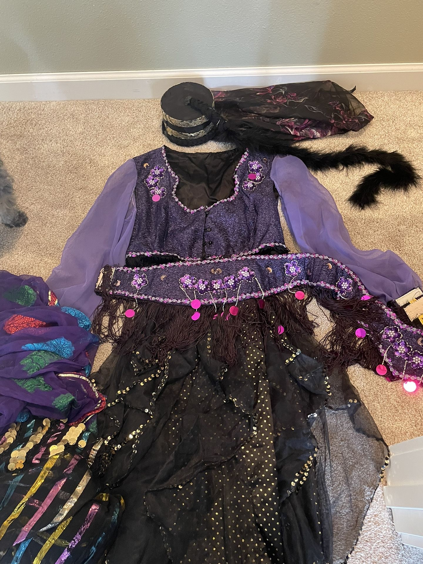 Belly Dance Clothing