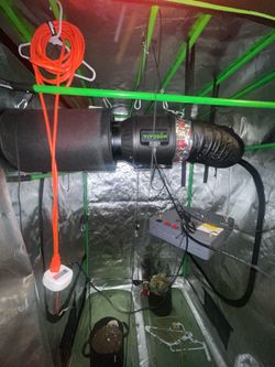 4x4 Vivosun Tent, Lights , Air Filtration System