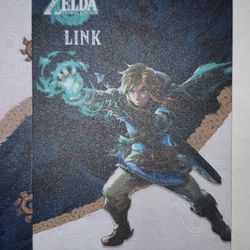 Zelda Amiibo Cards And Case 