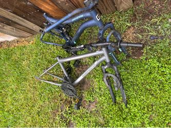 Tried to sell bikes to get rid of them