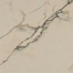 5’ X 10’ Ceasar Paonazo Porcelain Slabs Seizure & Foreclosure Auction
