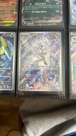 N’s Reshiram
