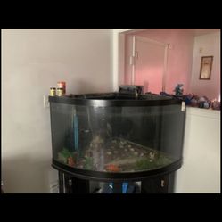 Fish Tank With A Stand 
