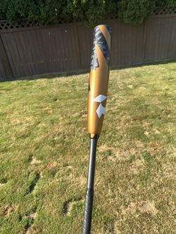 Demarini Zoa