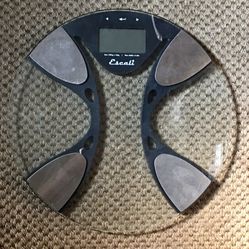 Body Weight Scale (cost $70 retail)