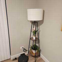 Lamp Light