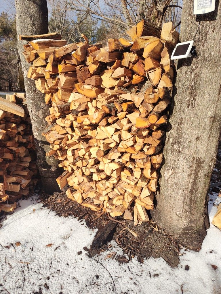 Firewood