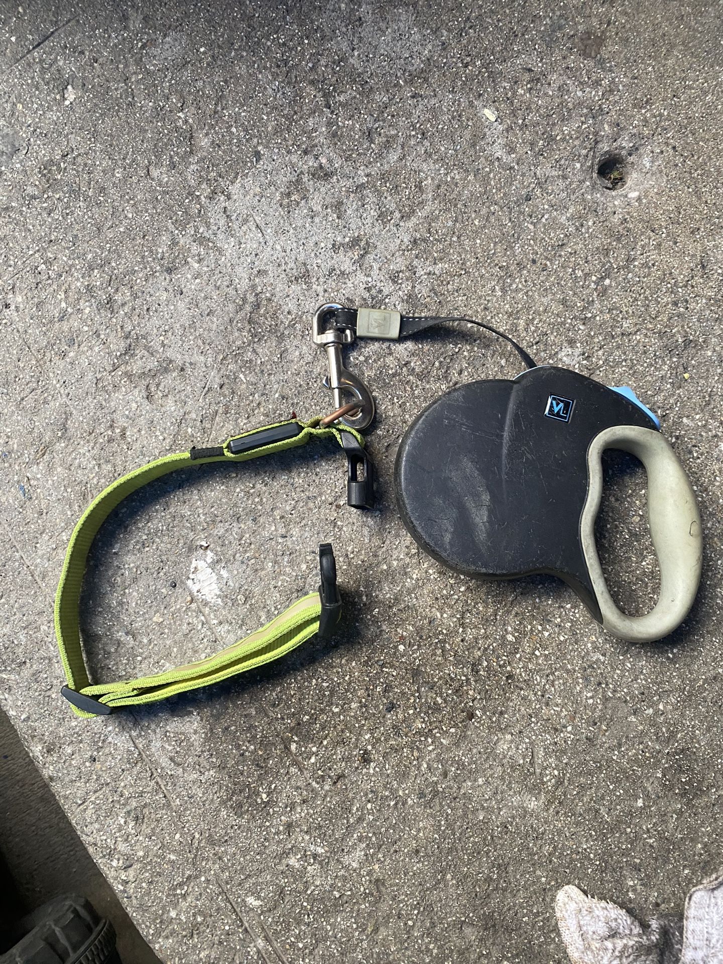 Dog Leash No Collar