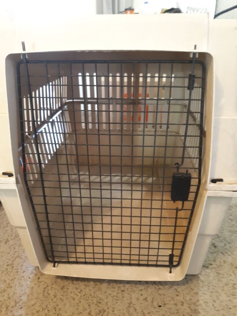 Large hard plastic dog kennel $30 obo