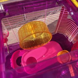 Hamster Cage