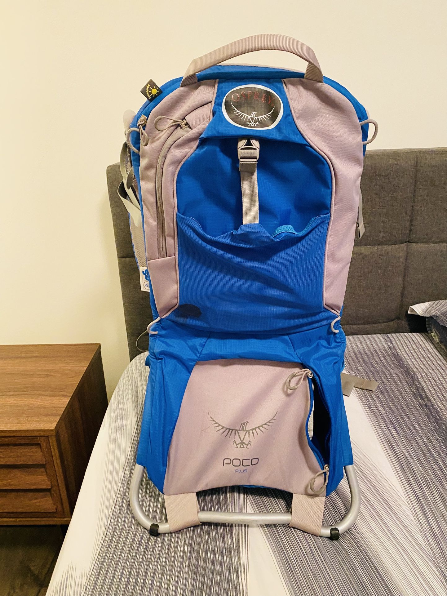 Child Carrier Backpack Great For Hiking