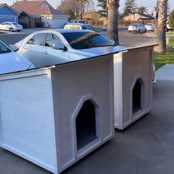 Custom Dog Houses 🐶🏠