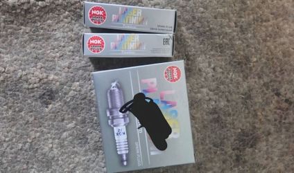 Spark plugs NEW 6