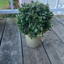 Decor 