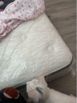 Full bed
