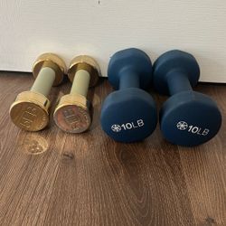 5 Lb 10 Lb Dumbbell Weights 