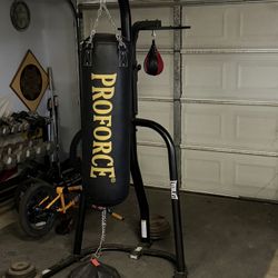 Punching Bag And Speed Bag Set Up