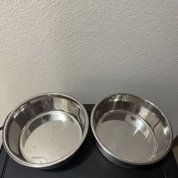 Dog Bowls