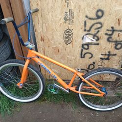 24" Dk General Lee Custom