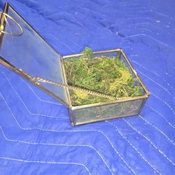 Decorative Mossy Storage Box