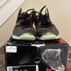 Nike Lebron 11 King s Pride Size 10 Men Shoe With Box Man Woman Boy Girl for Sale in Lutz FL OfferUp