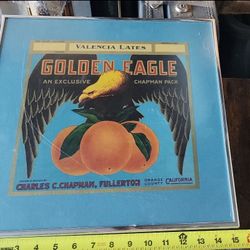 FRUIT Label -- GOLDEN EAGLE --15" X 15" placentia orchard company FULLERTON CAL