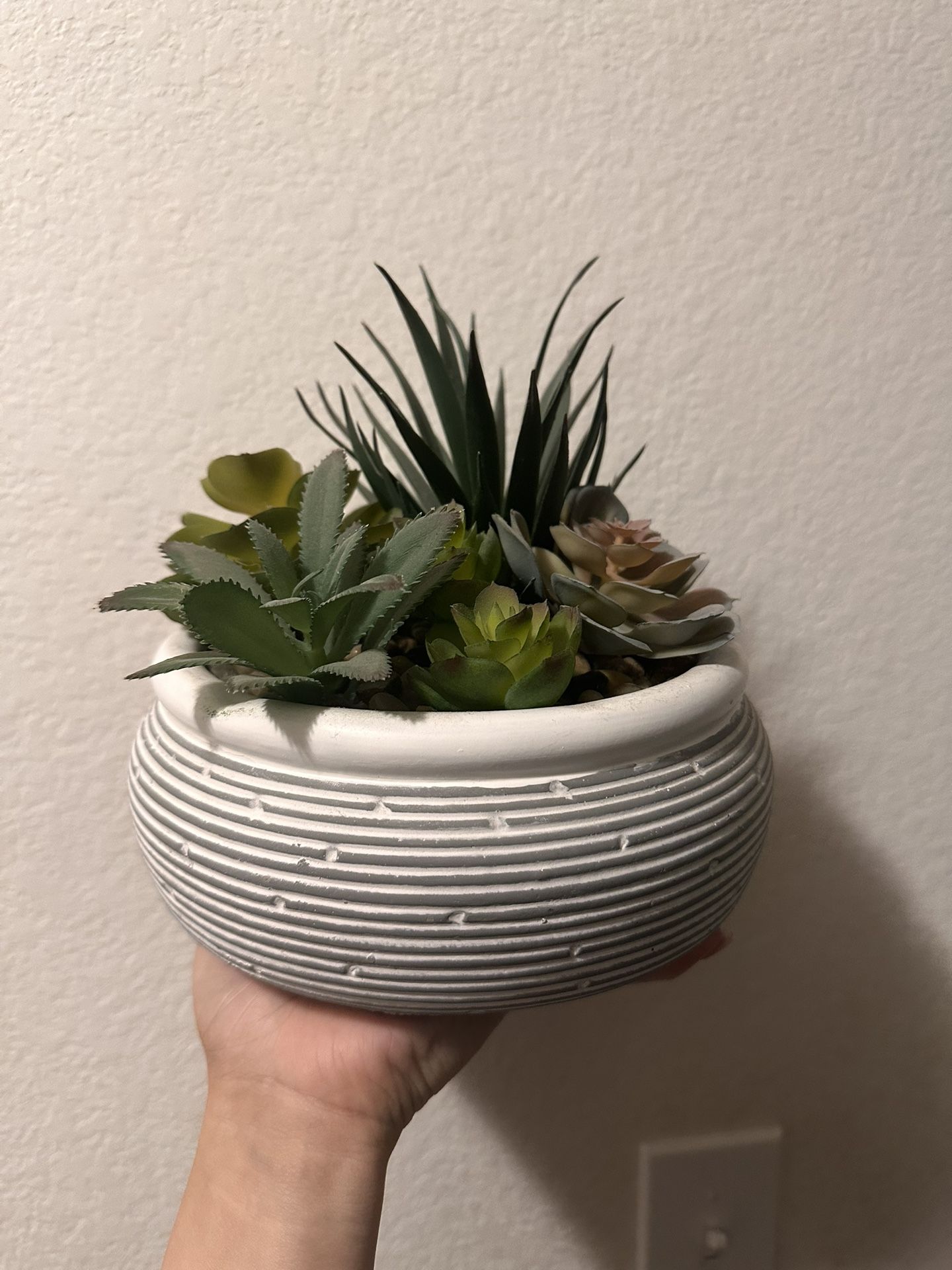 Succulent Plant Decor And Other Items 