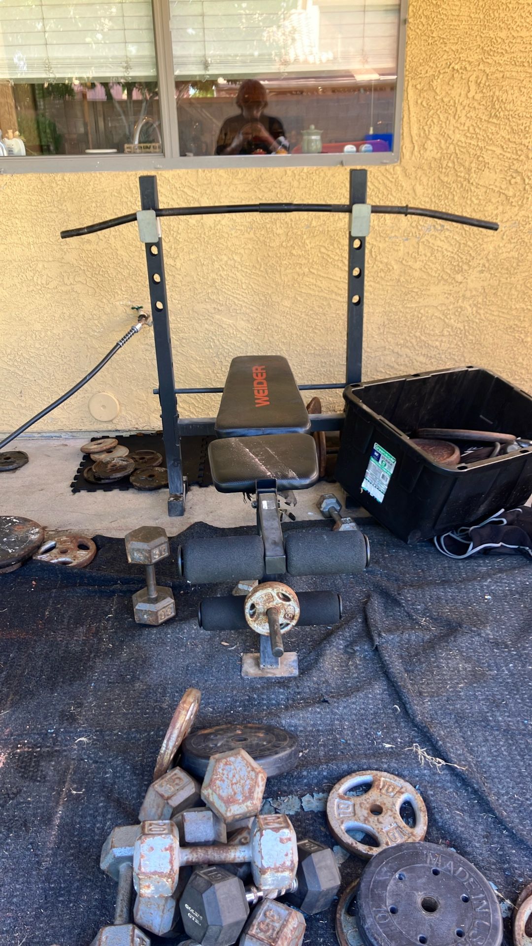 Weight Bench