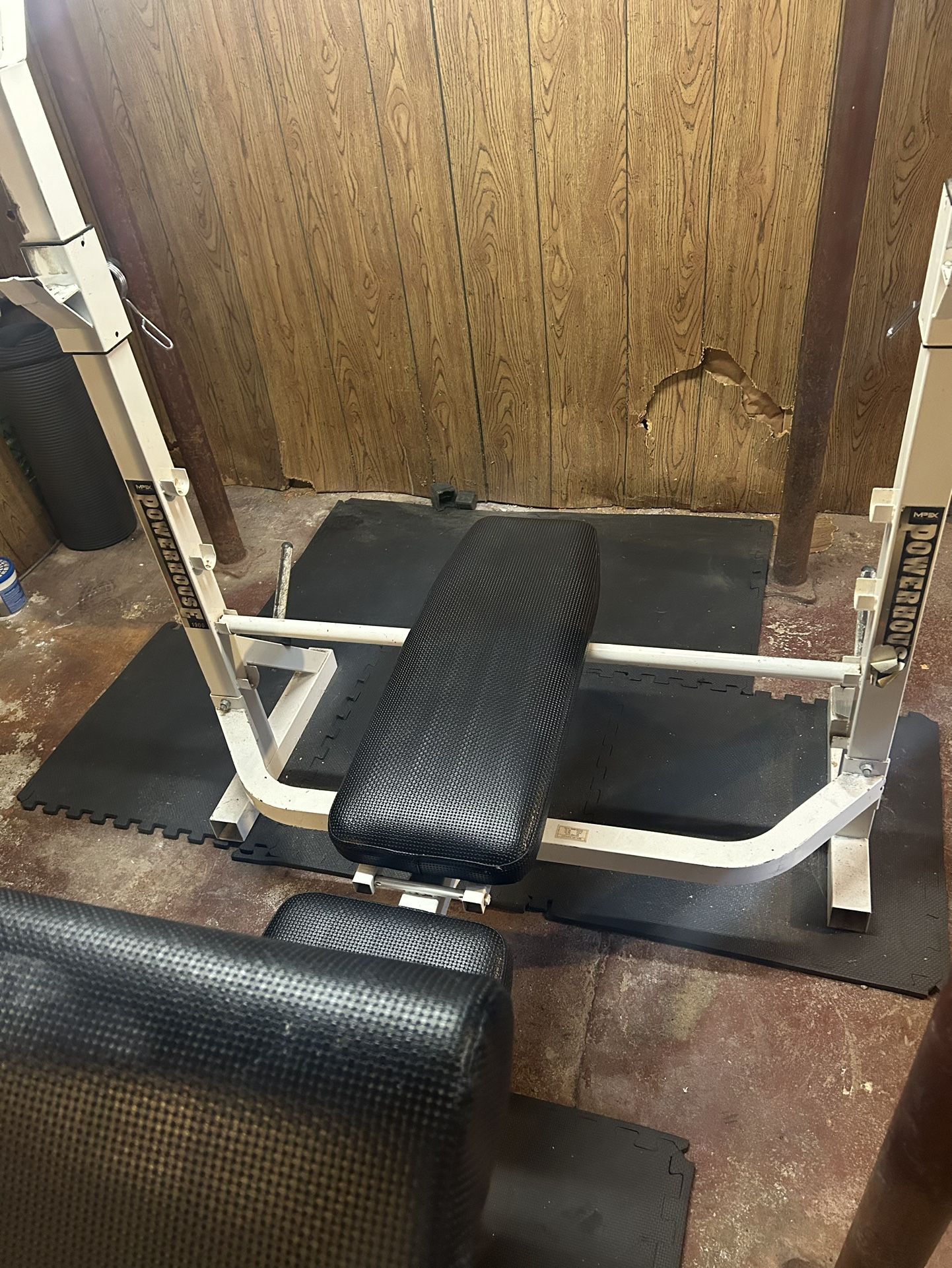 Bench Press, Squat Rack, Preacher Bench, Leg Extension/Hamstring Curl