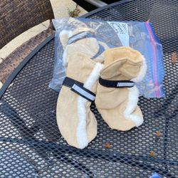 Doggy Shoes