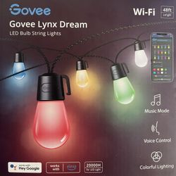 Google Lights Indoor/Outdoor