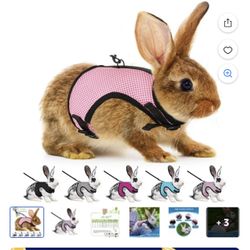 Bunny Harness Or For Other Small Pets 3lb Or Under 