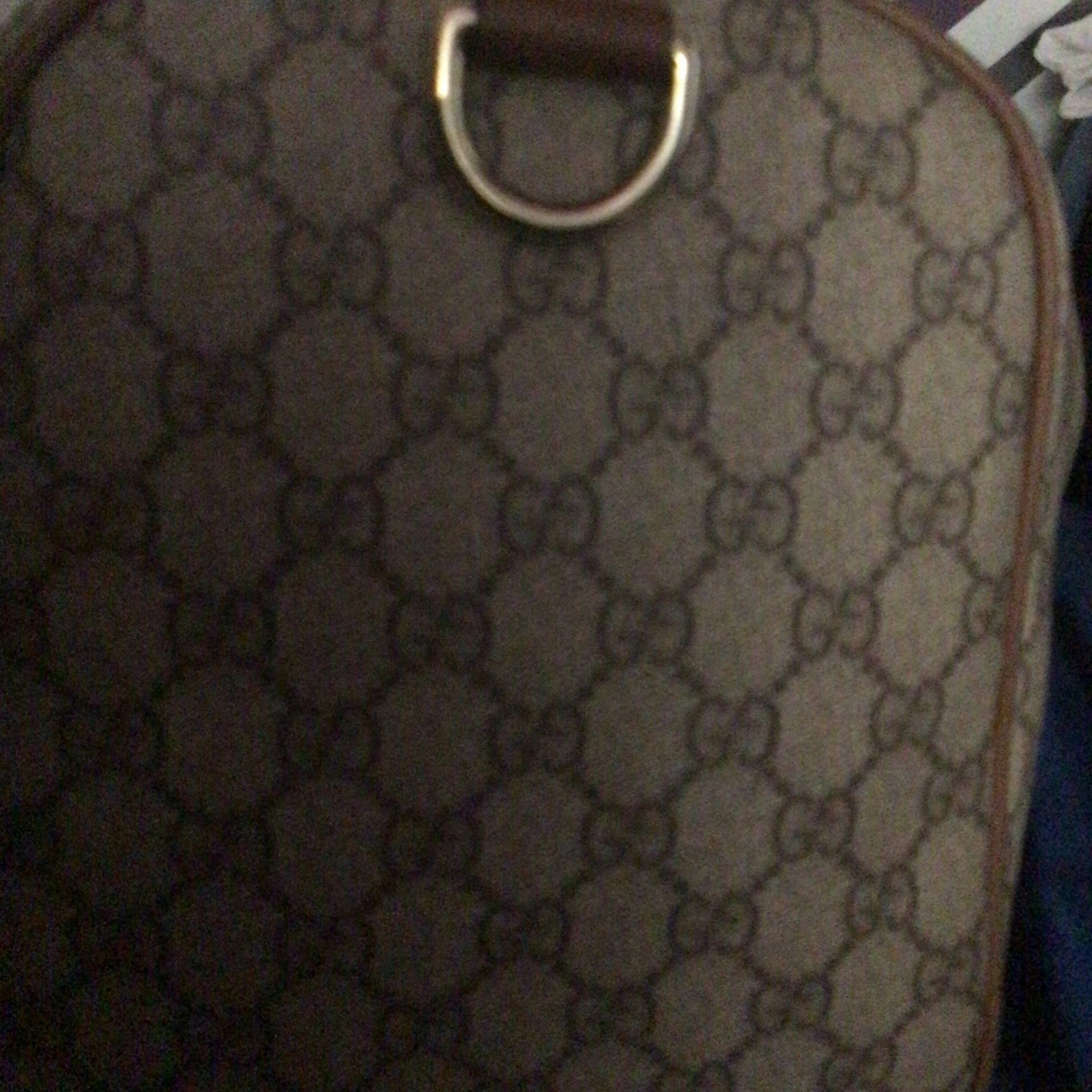 Gucci’s Bag (real)