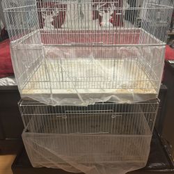 Bird Cages 