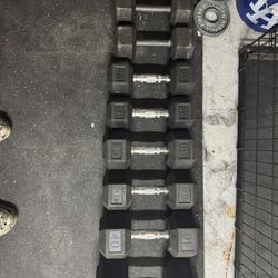 Various Rubber hex Dumbbells