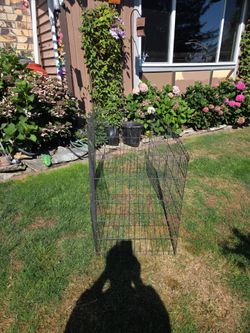 Animal pen