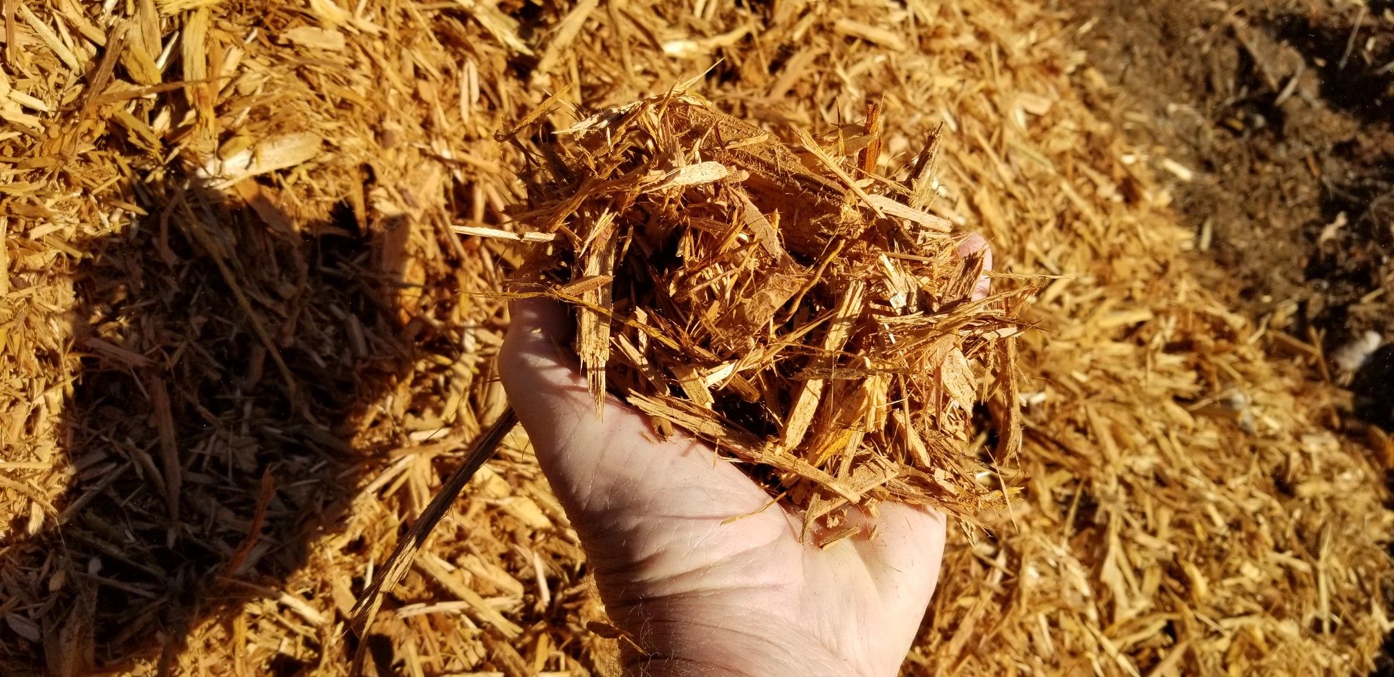 Wood Chips / Shreads / Mulch / Hog Fuel