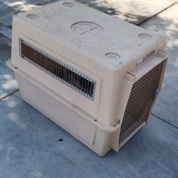 Dog Kennel 