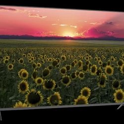 VIZIO Smart Tv 65" *** Good Deal *""