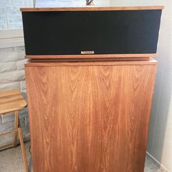 Klipsch Klipshorns Highline Speakers 