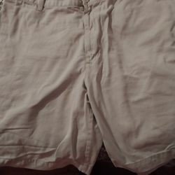 Mens Shorts Izod Size 38 