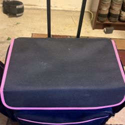 Rolling Craft Tote