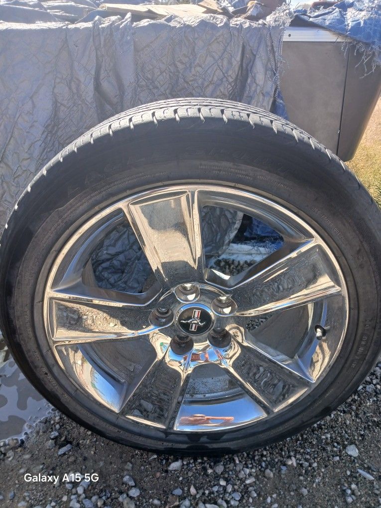 Mustang Wheels