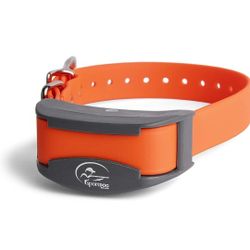 SportDOG add on collar 